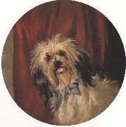 Percy Gray The Artist's Dog (mk42) oil painting picture wholesale